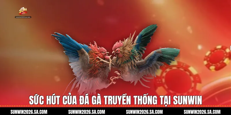 Sức Hút Của Đá Gà Truyền Thống Tại Sunwin